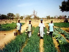 Burkina 1